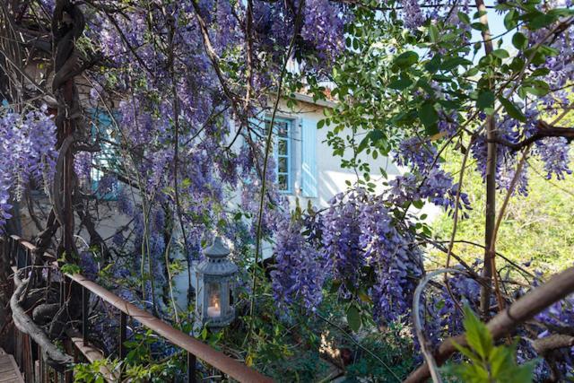 La Vieille Maison - Halte Gourmande Durfort-et-Saint-Martin-de-Sossenac Екстер'єр фото