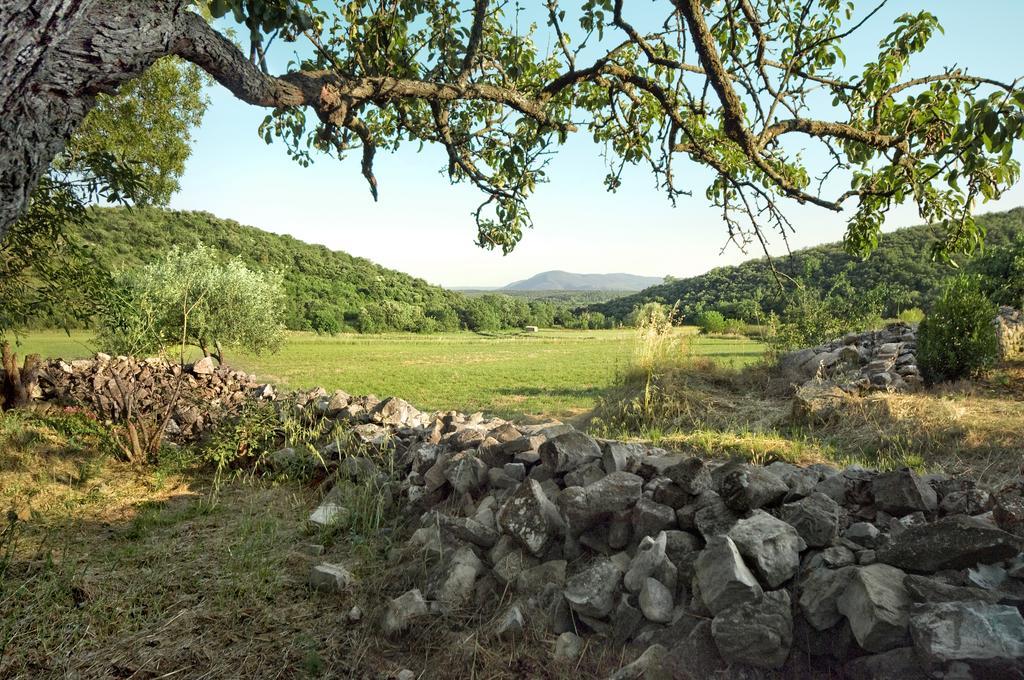 La Vieille Maison - Halte Gourmande Durfort-et-Saint-Martin-de-Sossenac Екстер'єр фото